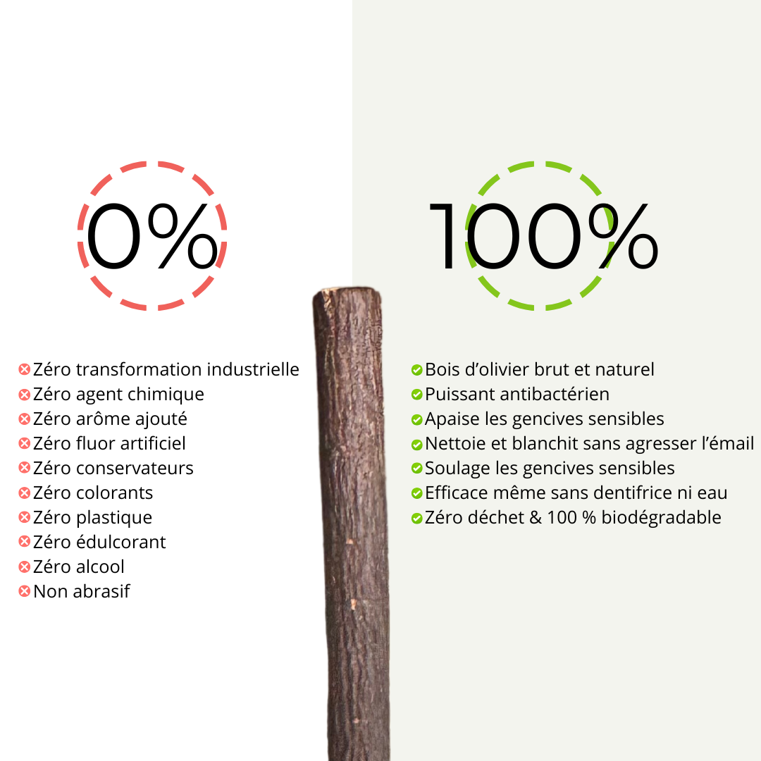 Siwak Noir d'Olivier - Goût Prononcé