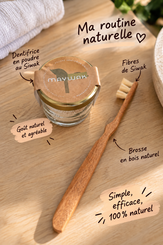 Blanchir ses dents naturellement : le Siwak, le remède millénaire qui revient