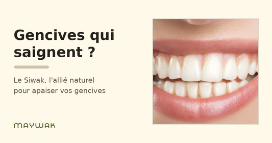 Gencives qui saignent : le Siwak, l'allié naturel pour apaiser