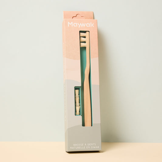 🪥 On l’a fait : la première brosse à dents en siwak, pensée pour aujourd’hui