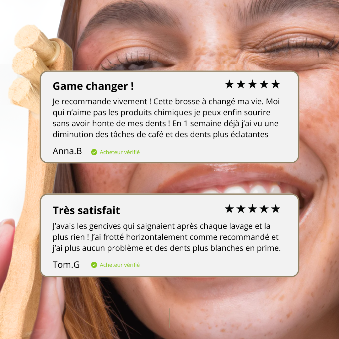 6 Têtes de rechange