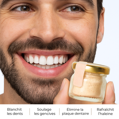 Dentifrice poudre de siwak