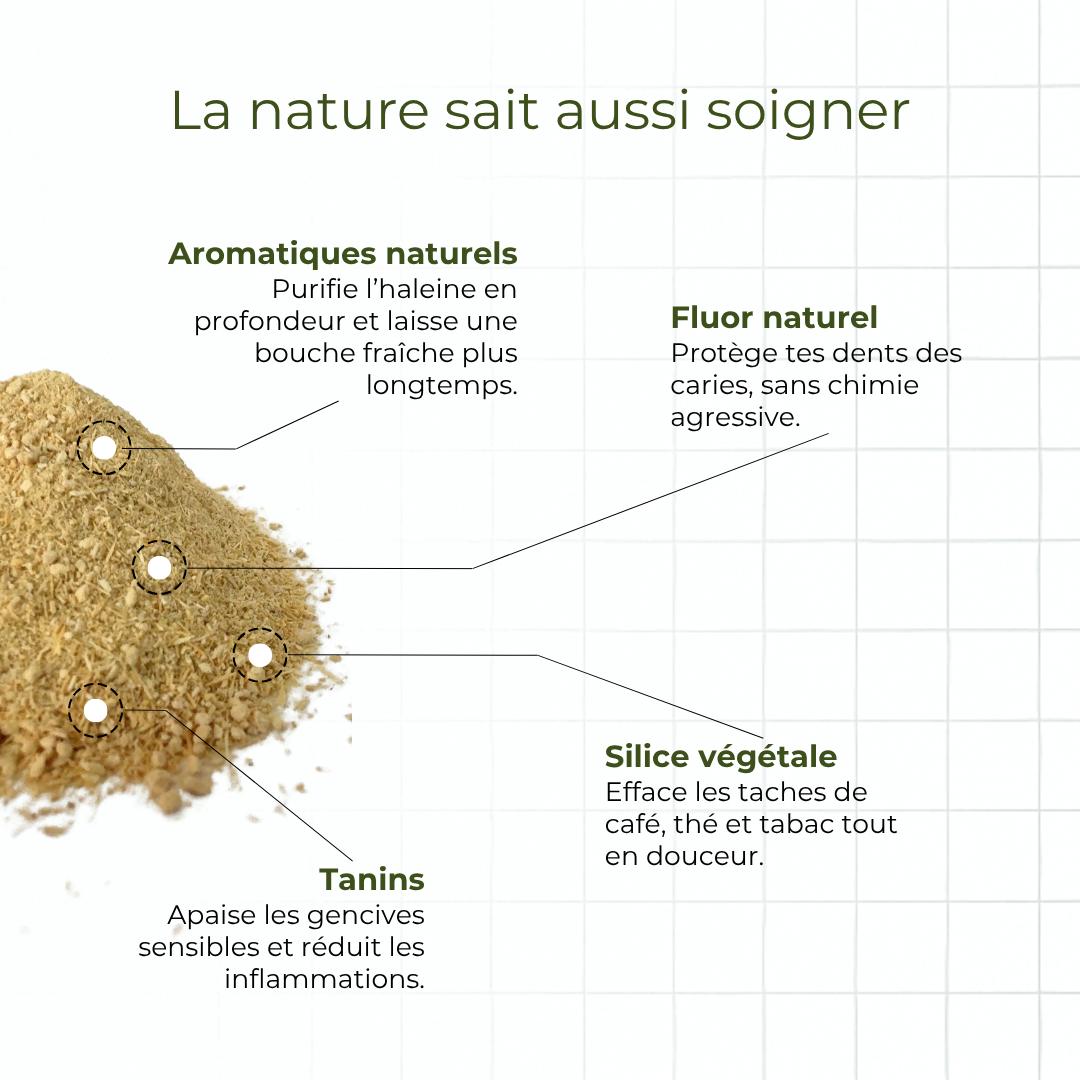 Dentifrice poudre de siwak