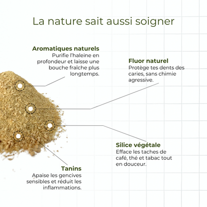 Dentifrice poudre de siwak