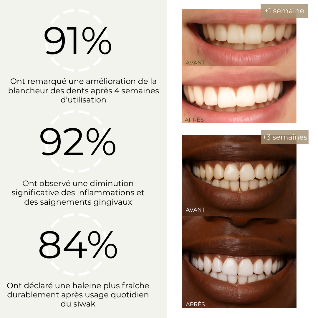 Dentifrice poudre de siwak