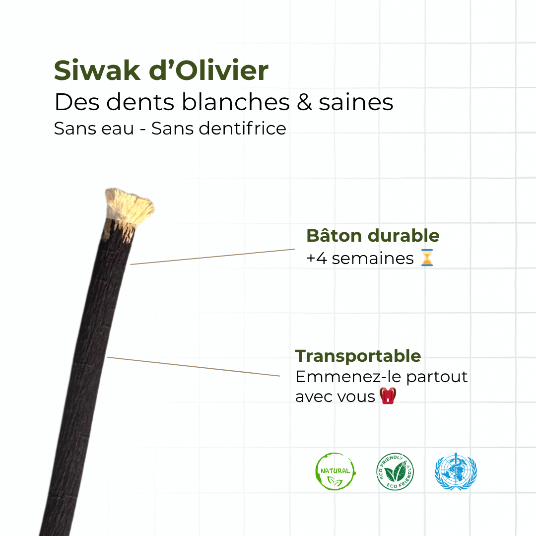 Siwak Noir d'Olivier - Goût Prononcé