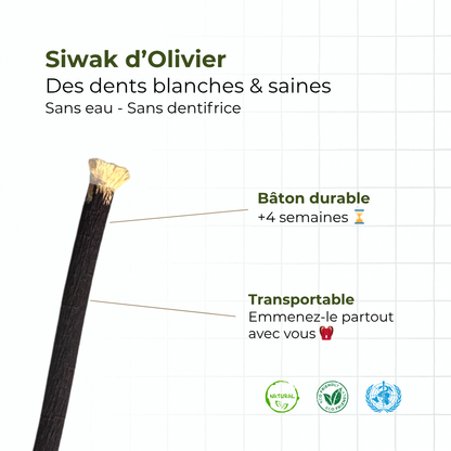 Siwak Noir d'Olivier - Goût Prononcé